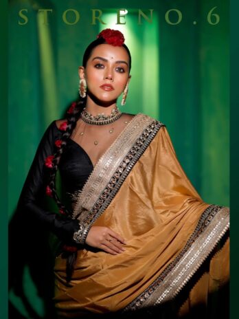 HYPNOTIC HAZELNUT READY-TO-WEAR SAREE