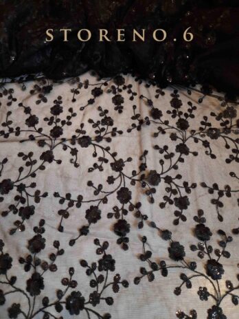 SHINE IN BLACK SAREE