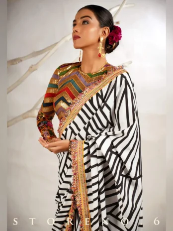 THE WIZARD’S SHOW SAREE