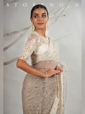 THE AGELESS ASH SAREE